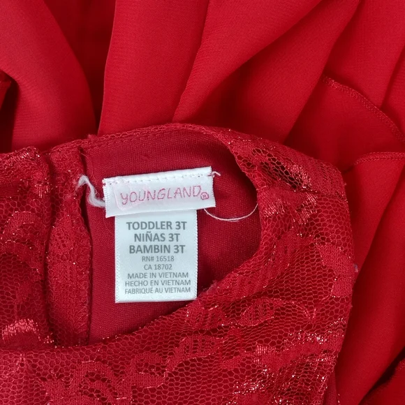 Red Rose Petal Dress - Picture 4 of 4